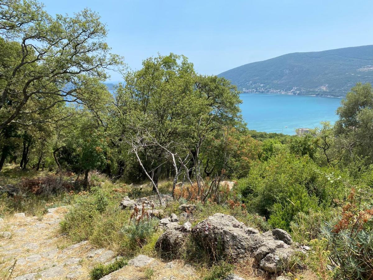 Adria Sea & Mountains Διαμέρισμα Χέρτσεγκ Νόβι Εξωτερικό φωτογραφία